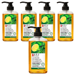 SOAPBERRY 古寶無患子 檸檬馬鞭草洗髮精華露, 深層潔淨控油, 450g, 5件