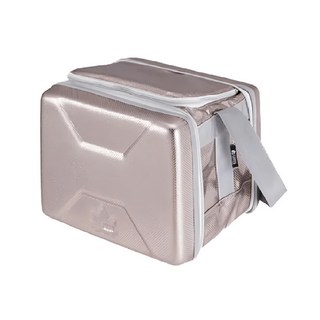 LOGOS 斷熱海霸超凍箱 尺寸約 27.5x23x21.5cm 容量 6.5L, 銀色