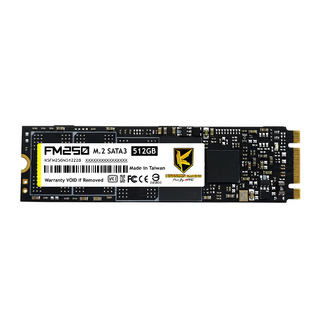 AITC 艾格 FM250 M.2 2280 512GB SSD SATAIII 固態硬碟，高速傳輸，穩定耐用, 單色, 1入
