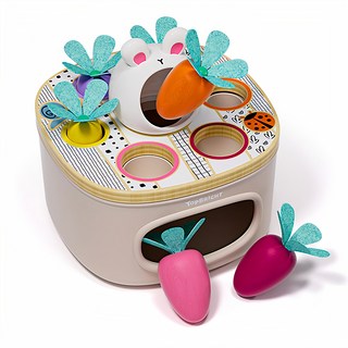 TOPBRIGHT 特寶兒趣味拔蘿蔔認知遊戲組 訓練手眼協調 激發寶寶的想像力, 1組, 多色