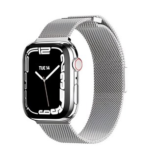 SwitchEasy 魚骨牌 Mesh 不鏽鋼米蘭磁吸錶帶 銀色, Apple Watch 44/45/46/49mm, 1條