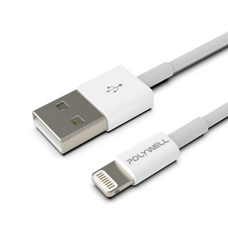 POLYWELL 寶利威爾 Type-A Lightning 3A充電線 適用蘋果iPhone PW15-W45-A163, 0.2m, 白色, 1條
