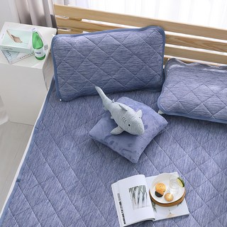 Hong Yew Bedding 鴻宇寢飾 接觸涼感-5度C 瞬涼可洗抗菌涼感保潔墊, 藍色, 涼感墊