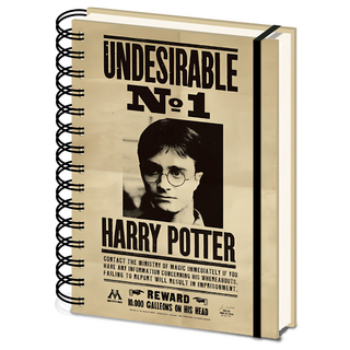 PYRAMID INTERNATIONAL 哈利波特 3D封面筆記本 Harry Potter Sirius,波特&天狼星通緝令，尺寸21 x 16 x 4公分, 1本