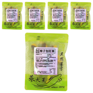 蔘大王 無籽梅子包旺萊 酸甜爽口 軟糯肉Q 營養零嘴, 100g, 5袋