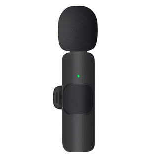 Neon 台灣霓虹 一拖二 iPhone 手機直播降噪麥克風，即插即用, 1個, 黑色