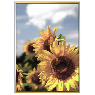 菠蘿選畫所 徜徉花海 • 向日葵IV BFEF3412G 40 x 30cm 畫框, 金色