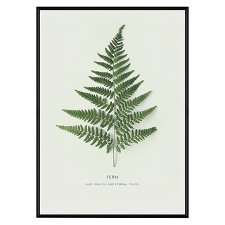 有框畫 躍動的生命力 蕨類植物印花, 黑色