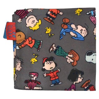 PEANUTS 史努比 抱枕套