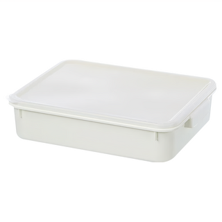 KEYWAY 小島零下30°C保鮮盒, 1個, 1個