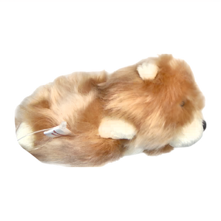 Little Beans 動物造型沙包娃娃 博美狗, 咖啡色, 1個