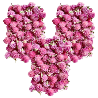 A-ONE 匯旺乾燥花 Set 千日紅 天然乾燥花