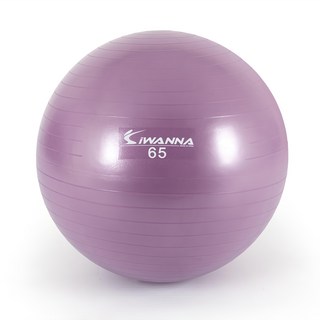 iwanna 防爆按摩瑜珈球, 紫丁香
