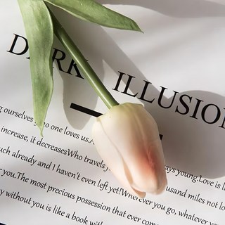 沐慕家居 仿真防水鬱金香花 PU材質 35cm長, 香檳色, 20個