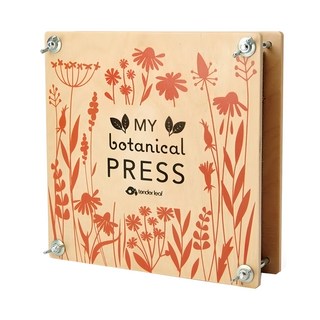 tender leaf 木製四季壓花本, 單色, 1盒