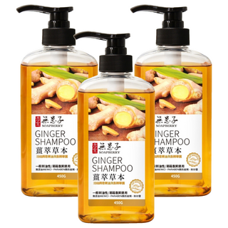 SOAPBERRY 古寶無患子 活絡調理洗髮精華露 薑萃草本, 強健髮根不易斷裂，保護頭髮頭皮, 450g, 3瓶