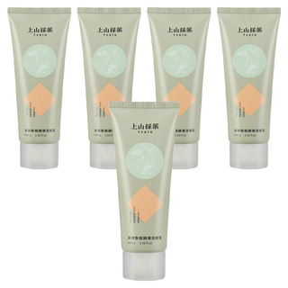 tsaio 上山採藥 茶樹粉痘調理洗顏乳 調理控油, 100g, 5條