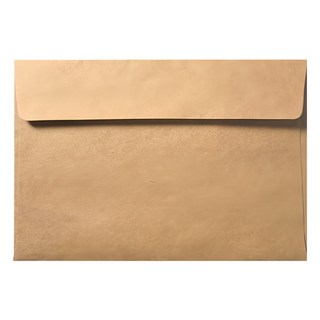 2Youngdesign 牛皮紙信封袋 165x114 毫米, 牛皮色, 100個