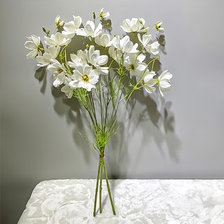 FLORAL M 仿真花 初戀少女波斯菊, 3支, 白色, 居家裝飾