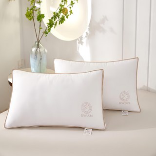 Ishur 伊舒爾 水鑽超柔立體羽絲枕 2入 表布 58%棉 柔軟舒適, 72 x 46cm, 1組