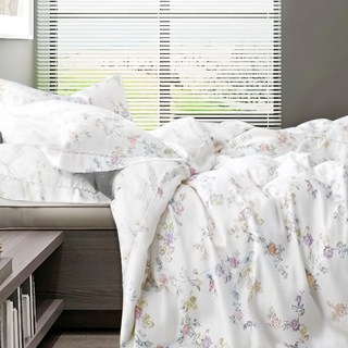 貝淇小舖 涼感60支天絲涼被 雙面A版花色, 清淺