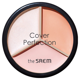 THe SaeM 得鮮 完美三色遮瑕膏, 05 Dark Up Beige, 1個