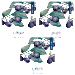 Nature Time 自然時記 生機野生藍莓乾, 3包, 100g