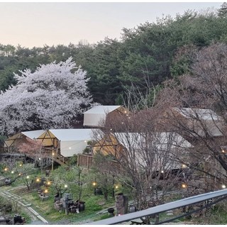 [제천시] 청풍월드니스글램핑