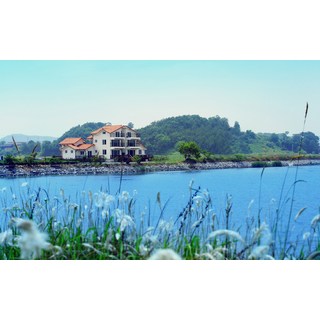 [태안군] 안면도힐링펜션