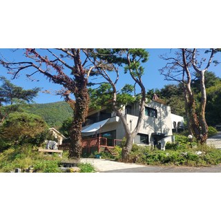 [단양군] 갤러리하우스펜션