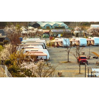 [파주시] 마실캠핑장