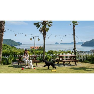 [거제시] |와우회원10%할인| 거제도 좋은데 애견동반 펜션