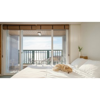 [거제시] |와우회원10%할인| 거제 비치화이트 애견 펜션