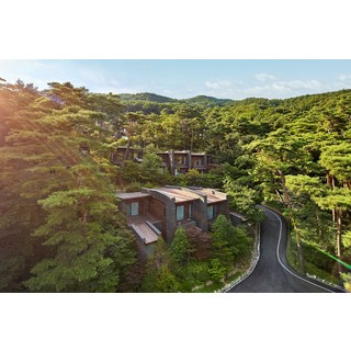 [충청북도 제천시] 포레스트 리솜