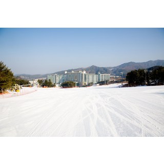 [횡성군] 웰리힐리파크