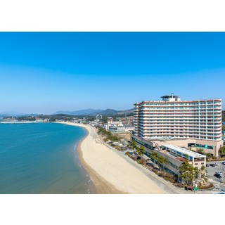 [보령시] 비체팰리스