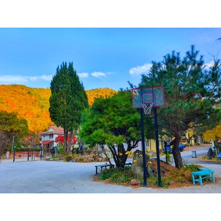 [무주군] 무주 여행숲 백암산장펜션