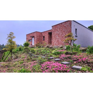 [제주시] 제주 알지니포레스트