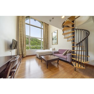 [정선군] 정선 골든메이플관광호텔