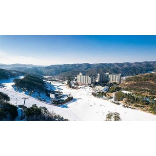 [원주시] 오크밸리리조트 힐스빌리지