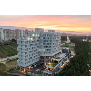 [강릉시] 강릉 파인아트라벨