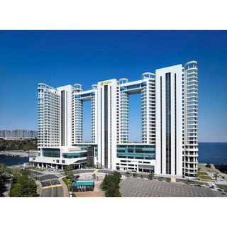 [속초시] 카시아 속초