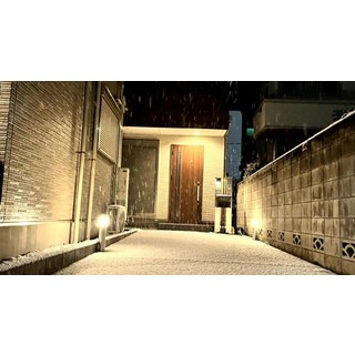 [도쿄 / 동경] Bon House Kanamachi Direct to Sensoji Skytree Disneyland Airport Free Parking