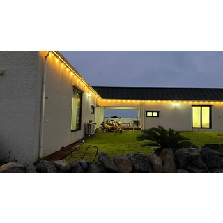 [제주] 우도 달달한 밤