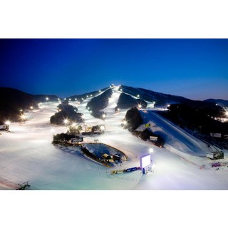 [횡성] 웰리힐리 파크 리조트