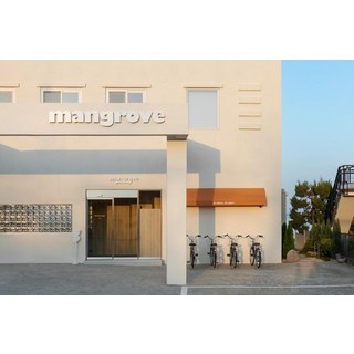 [속초] 맹그로브 고성