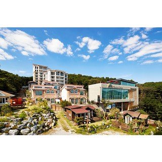 [용인] 용인 더숨 포레스트 호텔★기간한정특가★와우회원 최대30%할인 초특가★에버랜드 차량5분거리★