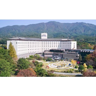 경주숙소 추천 1등 제품