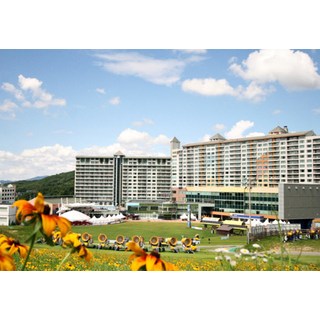 [강원횡성] [강원 횡성]웰리힐리파크