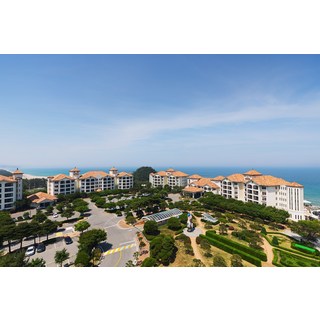 [양양] [본사직양]쏠비치 양양